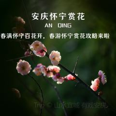 临福山庄 ảnh của người dùng