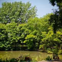 獨一處草堂張用戶圖片