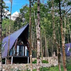 知青小镇 User Photo