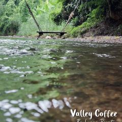 Valley Coffee Lanna Resort User Photo