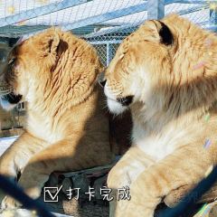 Mu Dan Jiang Xia Wei Yi Guo Ji Da Jiu Dian·Shui Yin Ri Ben Liao Li User Photo