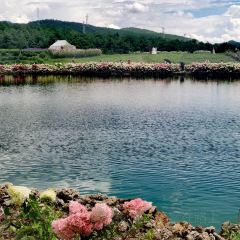 听花谷餐厅 User Photo