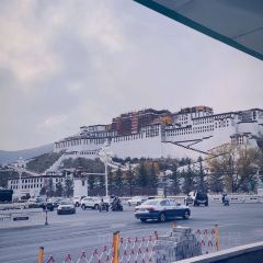 光合作用咖啡厅 User Photo