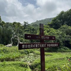 呀诺达雨林一号度假酒店·热带雨林餐厅 여행 사진
