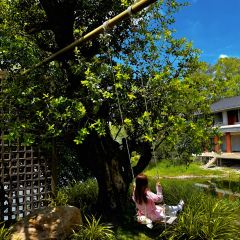 Serene House Cafe User Photo
