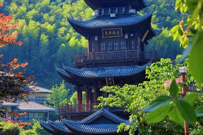 葛仙村度假区枕山宿酒店·枕山小馆