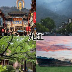 爺爺的土缽菜張用戶圖片