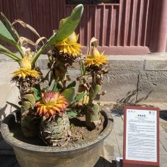 杏好遇见你(总店) User Photo