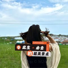 毛眼宏泰村 User Photo