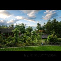 一山树屋咖啡营地 User Photo