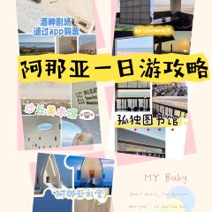 Bar Lotus 여행 사진