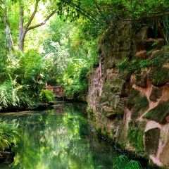 YE PO COFFEE User Photo