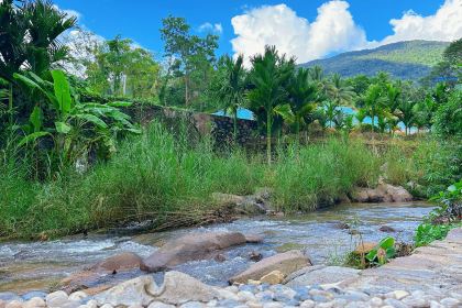 dirty duck Restaurant