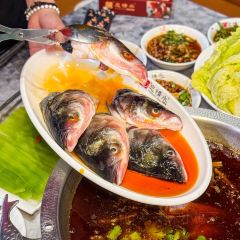 Wang Qing Shui User Photo