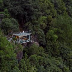 遂昌乐领旗山侠隐庄园·悬崖咖啡馆 User Photo