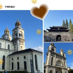 Seeing Tea User Photo