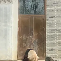 中心老饭店 User Photo