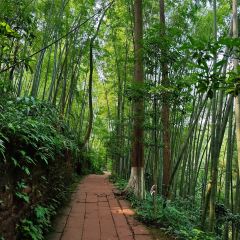 长安酒家 User Photo