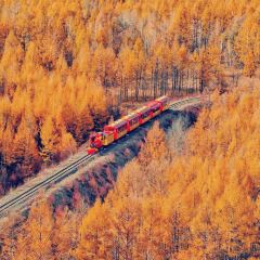 粘豆包铁锅炖(温泉街店) 여행 사진