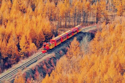 粘豆包铁锅炖(温泉街店)