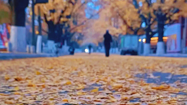 yin xing huang jin da dao