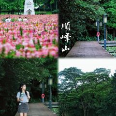 容边排骨饭 User Photo