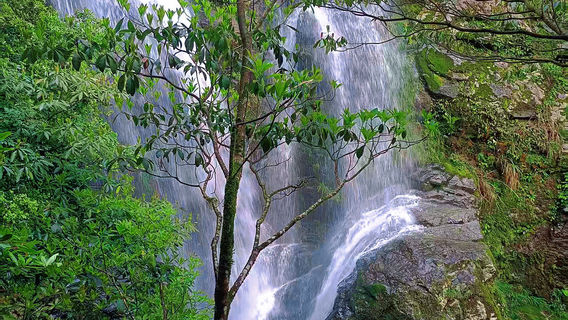 Hidden Dragon Valley Scenic Area
