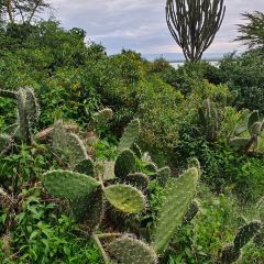 Seasons Elementaita Country Lodge User Photo