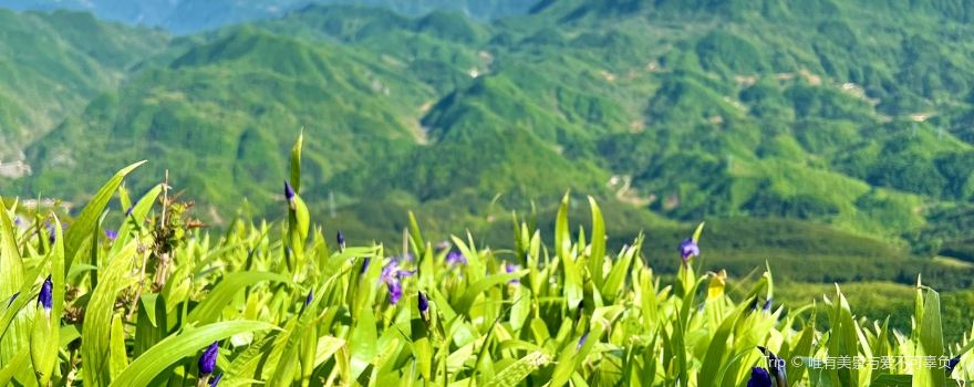 Beiyang Mountain