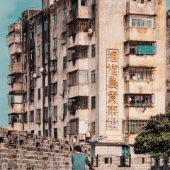 珍合雲吞麵店張用戶圖片