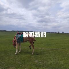 赵兴家大片肉 User Photo
