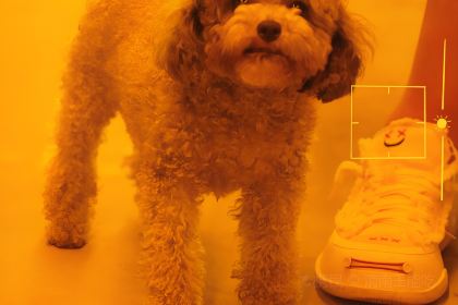 千斤串串(渭南义乌国际商贸城店)