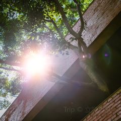 爸爸的房子民宿餐厅 User Photo