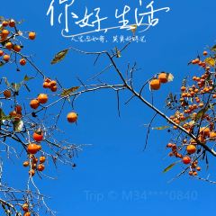 小巷人家 여행 사진