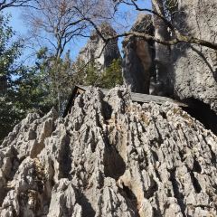 小箐味道(石林大道店) User Photo