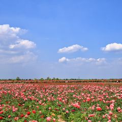 云间花境餐厅 User Photo
