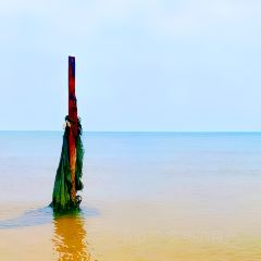 永庆咖啡 User Photo
