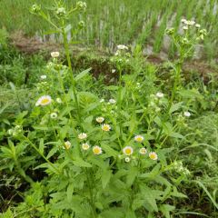 王家大院民宿餐饮 User Photo