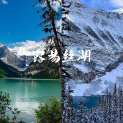 Lake Agnes Tea House User Photo