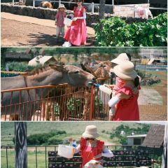 Noraba User Photo