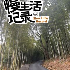 丫山农家乐 User Photo