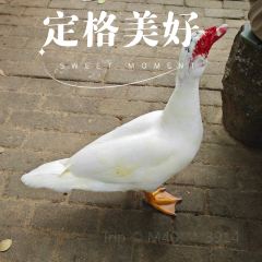 呀诺达雨林一号度假酒店·热带雨林餐厅 여행 사진
