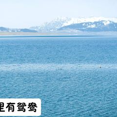 晃晃咖啡 User Photo