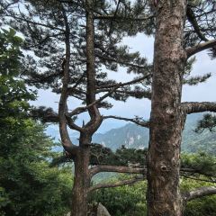 天堂古寨度假酒店·自助餐厅 User Photo