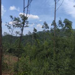 山涧别院 User Photo