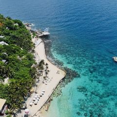 虎婆香草鴨·海南大排檔（清水灣美食街店）張用戶圖片