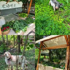 从前农庄 User Photo