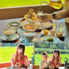 T三峰林茶谷野奢帐篷营地·T三茶宴 User Photo