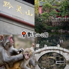 电台街美食街 여행 사진
