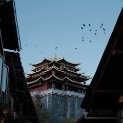 黑豆咖啡屋 User Photo